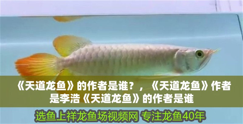 《天道龍魚》的作者是誰？，《天道龍魚》作者是李浩《天道龍魚》的作者是誰