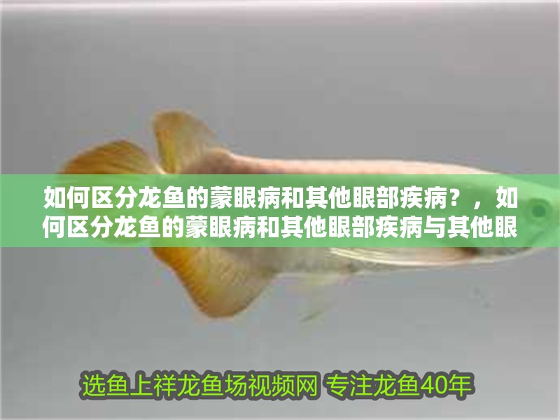 如何區(qū)分龍魚的蒙眼病和其他眼部疾病？，如何區(qū)分龍魚的蒙眼病和其他眼部疾病與其他眼部疾病