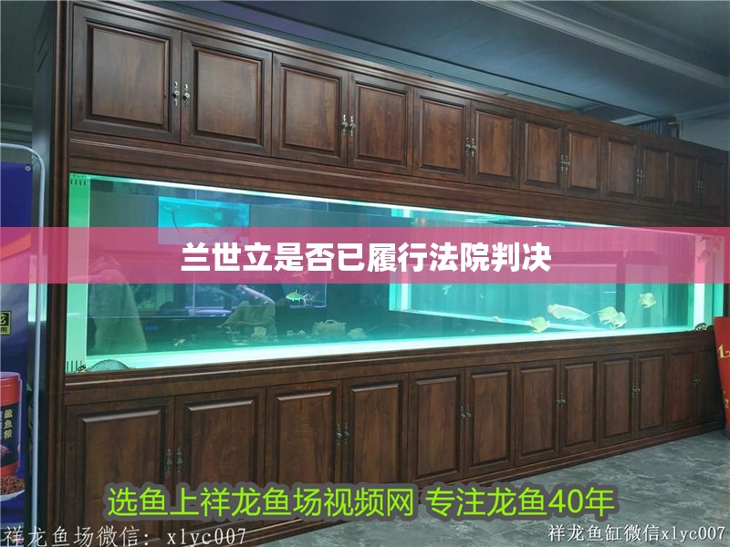 蘭世立是否已履行法院判決