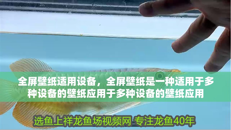 全屏壁紙適用設(shè)備，全屏壁紙是一種適用于多種設(shè)備的壁紙應(yīng)用于多種設(shè)備的壁紙應(yīng)用