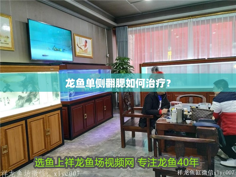 龍魚單側翻腮如何治療？
