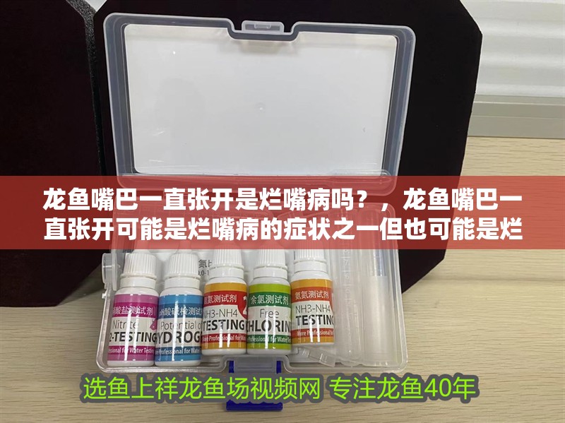 龍魚嘴巴一直張開是爛嘴病嗎？，龍魚嘴巴一直張開可能是爛嘴病的癥狀之一但也可能是爛嘴病