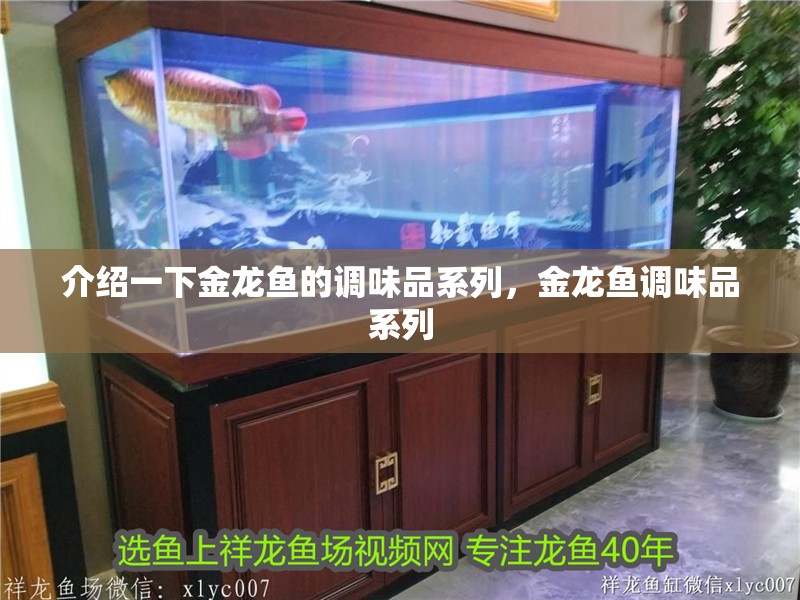 介紹一下金龍魚的調味品系列，金龍魚調味品系列