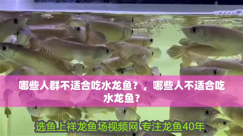 哪些人群不適合吃水龍魚？，哪些人不適合吃水龍魚？