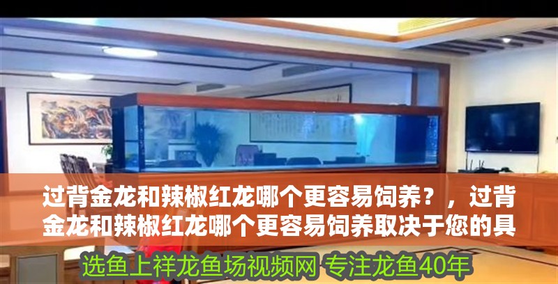 過背金龍和辣椒紅龍哪個更容易飼養(yǎng)?,過背金龍和辣椒紅龍哪個更容易飼養(yǎng)取決于您的具體條件和偏好