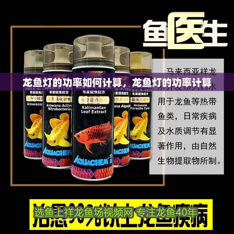 龍魚燈的功率如何計(jì)算，龍魚燈的功率計(jì)算