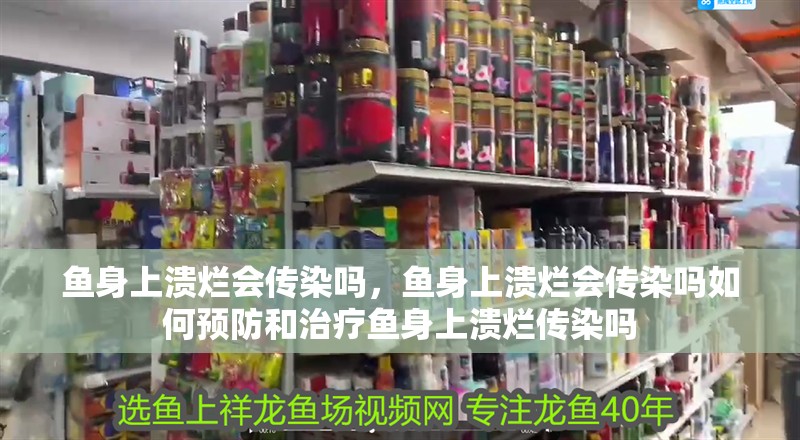 魚身上潰爛會(huì)傳染嗎，魚身上潰爛會(huì)傳染嗎如何預(yù)防和治療魚身上潰爛傳染嗎