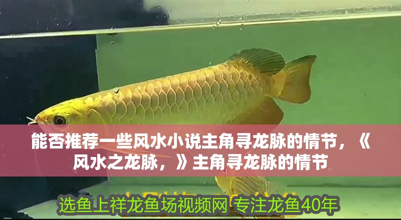 能否推薦一些風(fēng)水小說主角尋龍脈的情節(jié)，《風(fēng)水之龍脈，》主角尋龍脈的情節(jié)