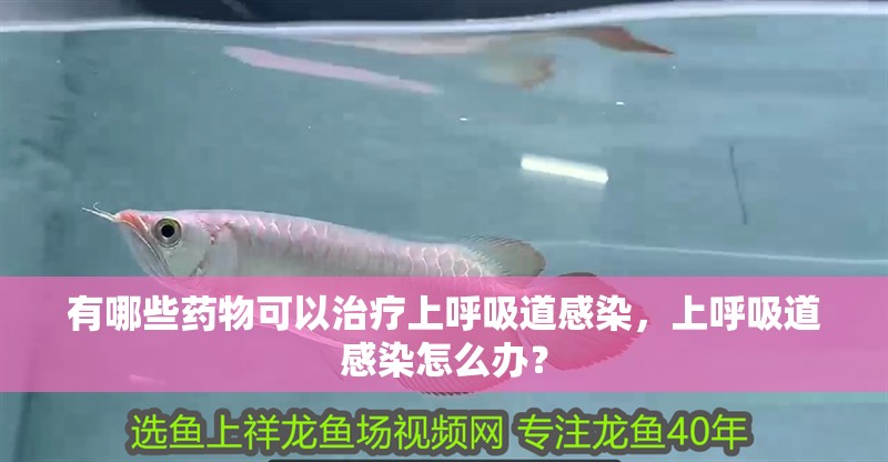 有哪些藥物可以治療上呼吸道感染，上呼吸道感染怎么辦？