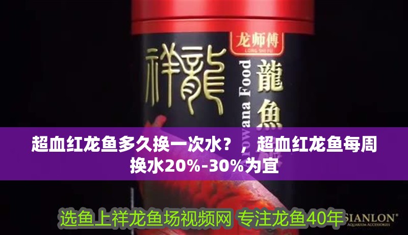 超血紅龍魚多久換一次水？，超血紅龍魚每周換水20%-30%為宜
