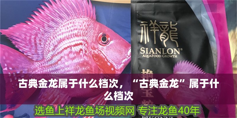 古典金龍屬于什么檔次，“古典金龍”屬于什么檔次