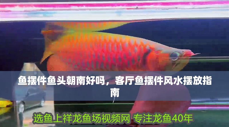 魚擺件魚頭朝南好嗎，客廳魚擺件風水擺放指南