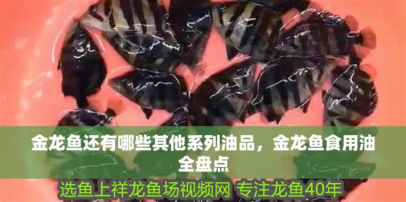 金龍魚還有哪些其他系列油品，金龍魚食用油全盤點