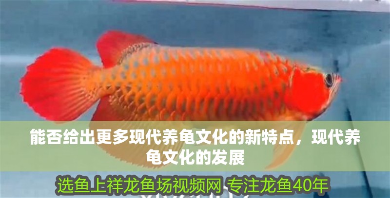 能否給出更多現代養龜文化的新特點，現代養龜文化的發展