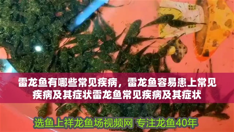 雷龍魚有哪些常見疾病，雷龍魚容易患上常見疾病及其癥狀雷龍魚常見疾病及其癥狀