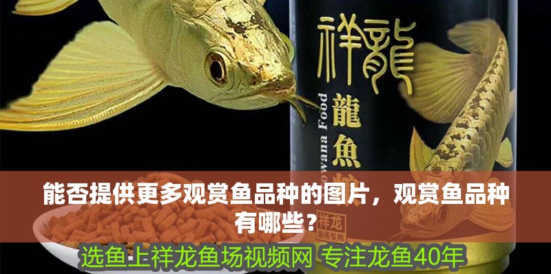 能否提供更多觀賞魚品種的圖片，觀賞魚品種有哪些？