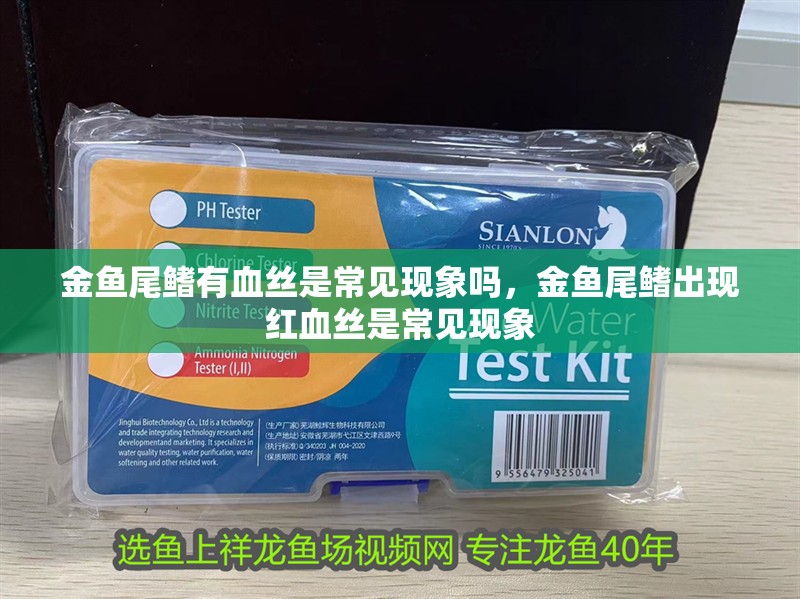 金魚尾鰭有血絲是常見現象嗎，金魚尾鰭出現紅血絲是常見現象