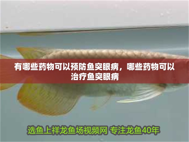 有哪些藥物可以預防魚突眼病，哪些藥物可以治療魚突眼病