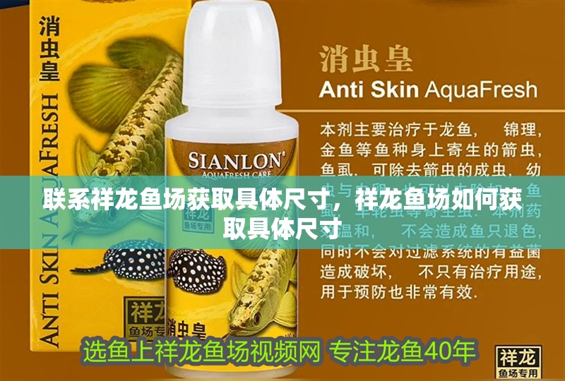 聯(lián)系祥龍魚場獲取具體尺寸，祥龍魚場如何獲取具體尺寸