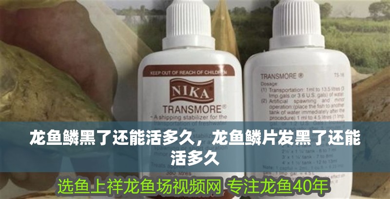 龍魚鱗黑了還能活多久，龍魚鱗片發(fā)黑了還能活多久