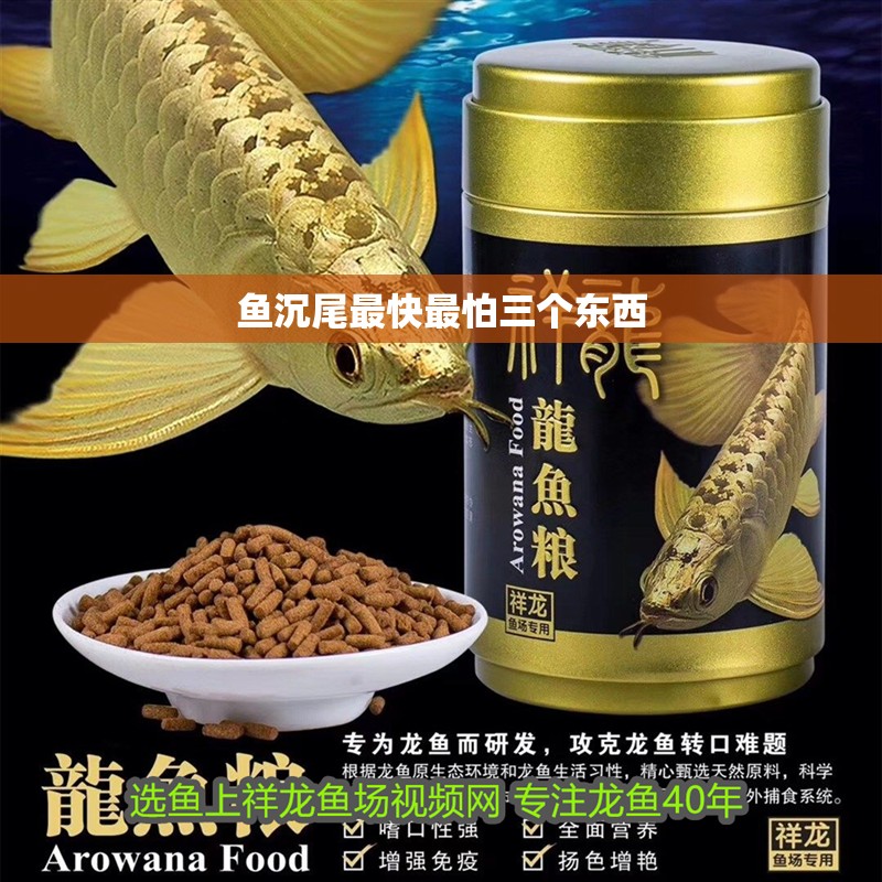 魚沉尾最快最怕三個東西