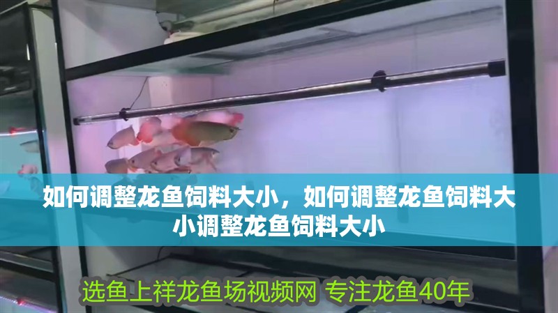 如何調(diào)整龍魚飼料大小，如何調(diào)整龍魚飼料大小調(diào)整龍魚飼料大小