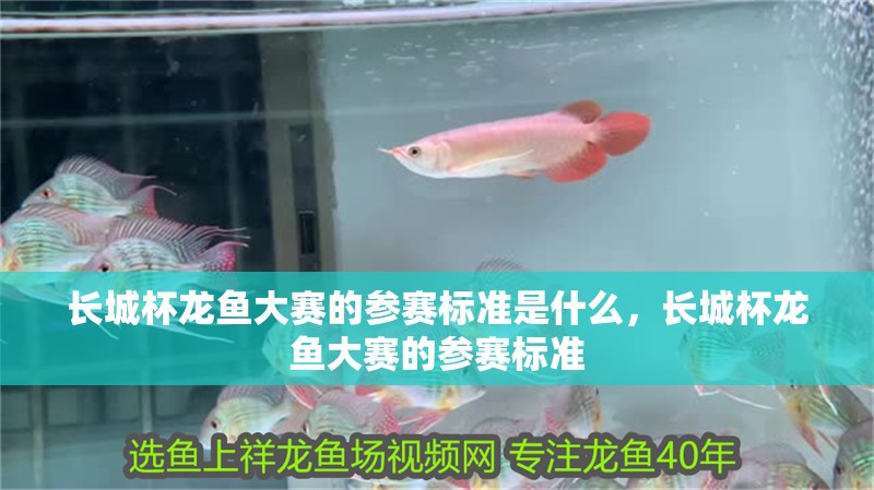 長城杯龍魚大賽的參賽標準是什么，長城杯龍魚大賽的參賽標準