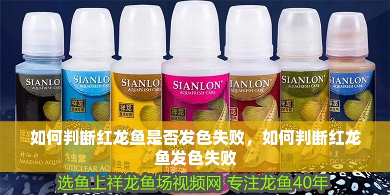 如何判斷紅龍魚是否發色失敗，如何判斷紅龍魚發色失敗