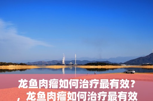 龍魚肉瘤如何治療最有效？，龍魚肉瘤如何治療最有效,用戶要求詳解龍魚肉瘤的治療方法