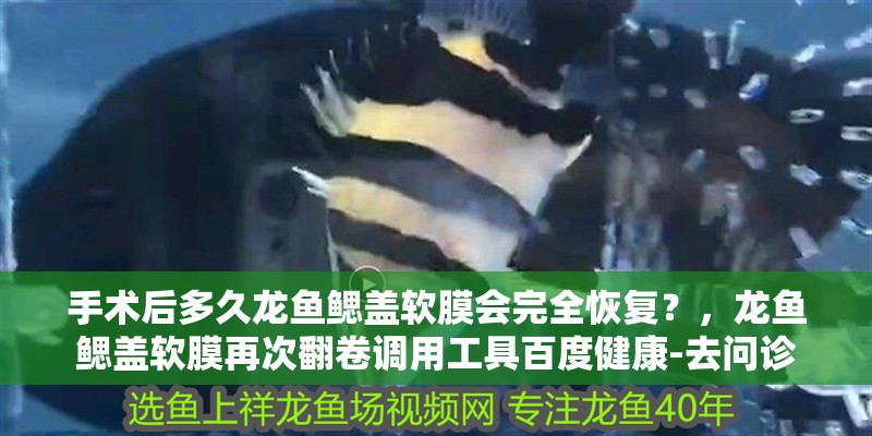 手術后多久龍魚鰓蓋軟膜會完全恢復？，龍魚鰓蓋軟膜再次翻卷調用工具百度健康-去問診