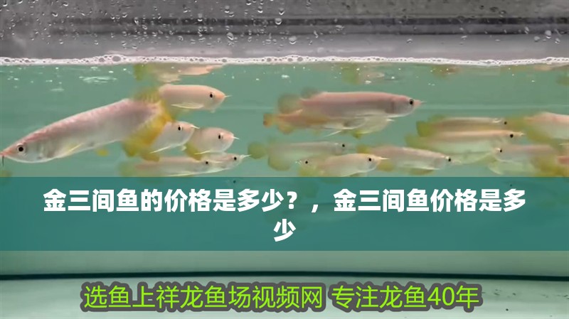 魯花集團與金龍魚的合作歷史,金龍魚與魯花集團的合作歷史