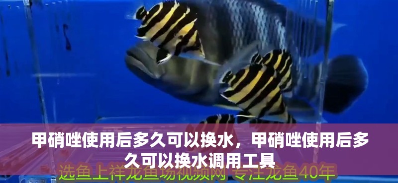 甲硝唑使用后多久可以換水，甲硝唑使用后多久可以換水調(diào)用工具
