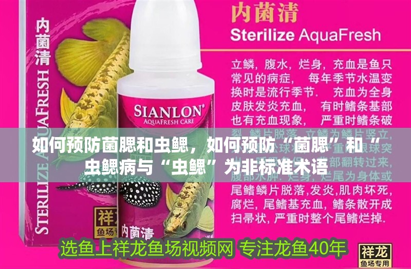 如何預防菌腮和蟲鰓，如何預防“菌腮”和“蟲鰓病與“蟲鰓”為非標準術語