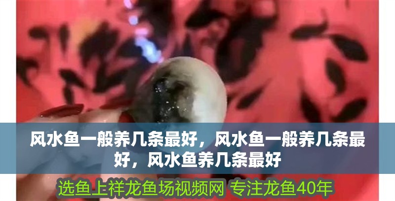 風(fēng)水魚一般養(yǎng)幾條最好，風(fēng)水魚一般養(yǎng)幾條最好，風(fēng)水魚養(yǎng)幾條最好