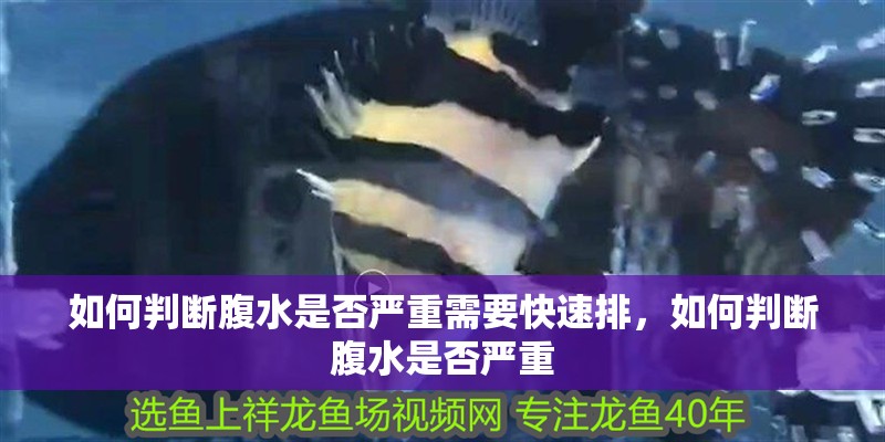 如何判斷腹水是否嚴重需要快速排，如何判斷腹水是否嚴重