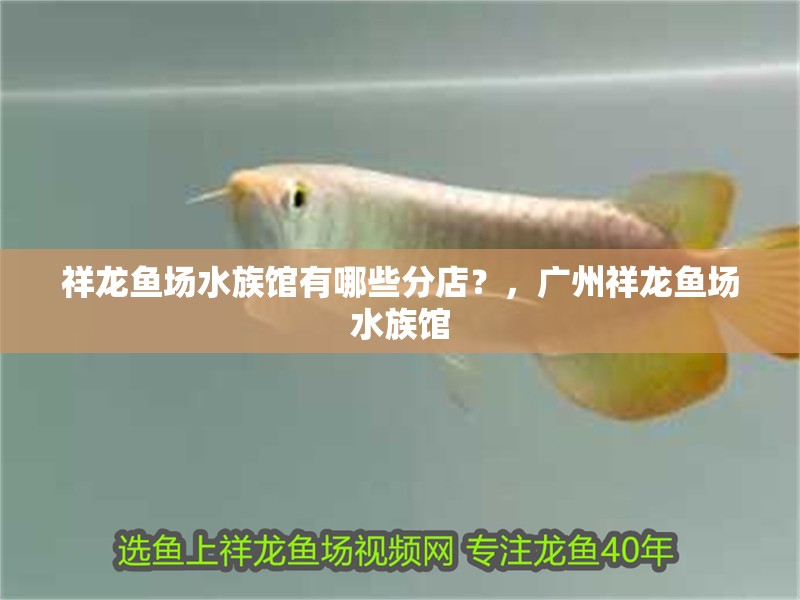 祥龍魚場水族館有哪些分店？，廣州祥龍魚場水族館