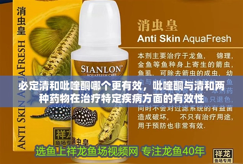 必定清和吡喹酮哪個更有效，吡喹酮與清和兩種藥物在治療特定疾病方面的有效性