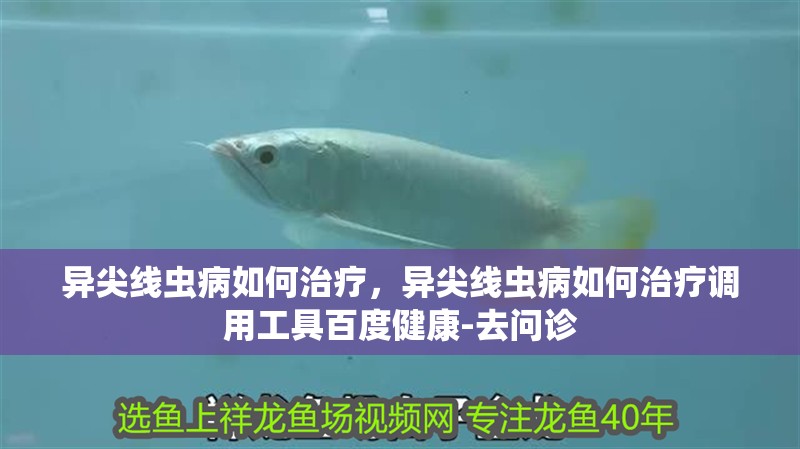 異尖線蟲病如何治療，異尖線蟲病如何治療調用工具百度健康-去問診