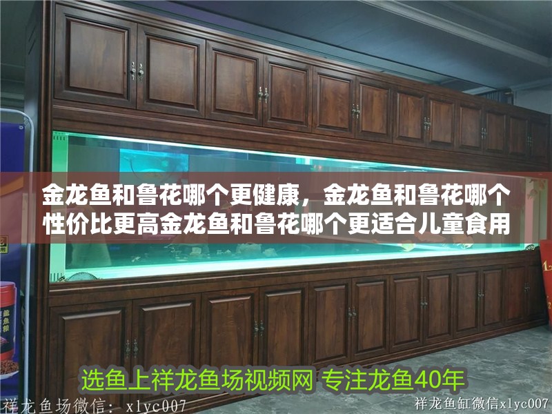 金龍魚(yú)和魯花哪個(gè)更健康，金龍魚(yú)和魯花哪個(gè)性?xún)r(jià)比更高金龍魚(yú)和魯花哪個(gè)更適合兒童食用