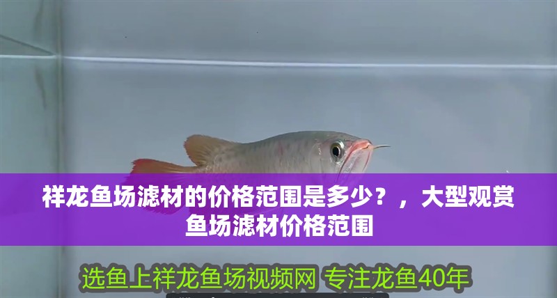 祥龍魚場濾材的價格范圍是多少？，大型觀賞魚場濾材價格范圍