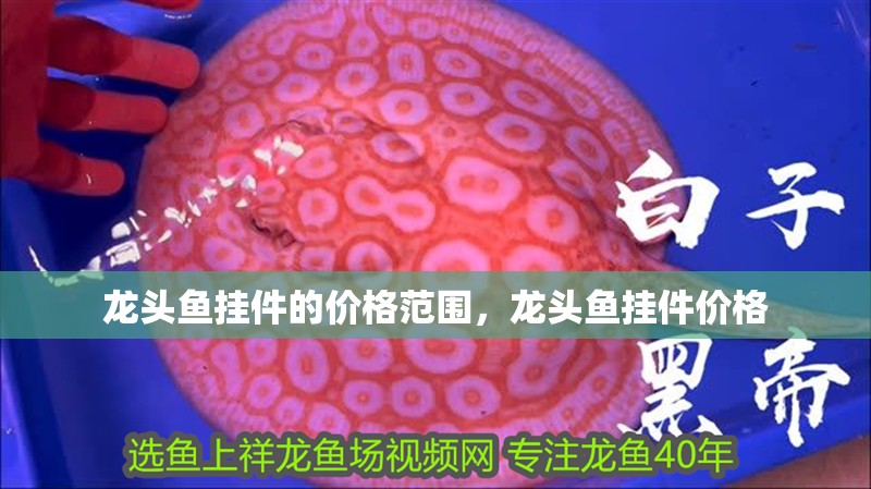 龍頭魚掛件的價格范圍，龍頭魚掛件價格