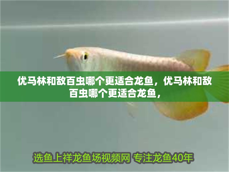 優馬林和敵百蟲哪個更適合龍魚，優馬林和敵百蟲哪個更適合龍魚，