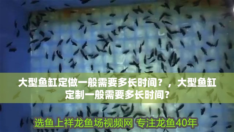 大型魚缸定做一般需要多長時間？，大型魚缸定制一般需要多長時間？