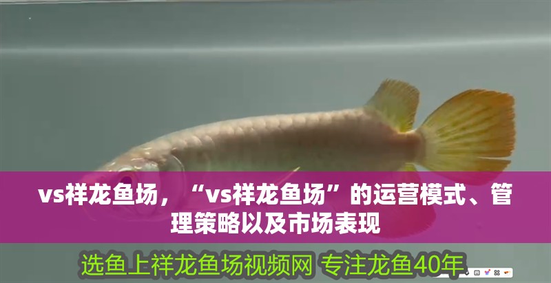 vs祥龍魚場，“vs祥龍魚場”的運(yùn)營模式、管理策略以及市場表現(xiàn)