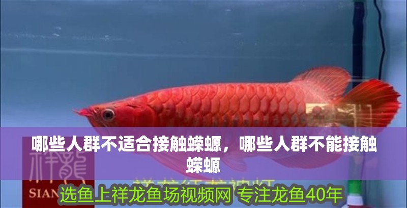 哪些人群不適合接觸蠑螈，哪些人群不能接觸蠑螈