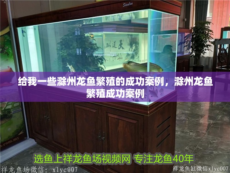給我一些滁州龍魚(yú)繁殖的成功案例，滁州龍魚(yú)繁殖成功案例