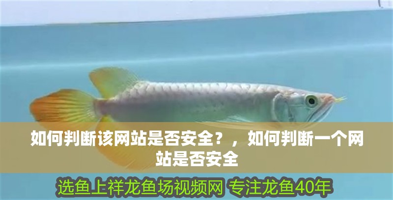 如何判斷該網站是否安全？，如何判斷一個網站是否安全