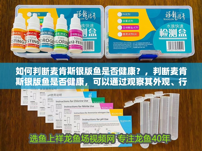 如何判斷麥肯斯銀版魚是否健康？，判斷麥肯斯銀版魚是否健康，可以通過觀察其外觀、行為和水質條件來進行檢查