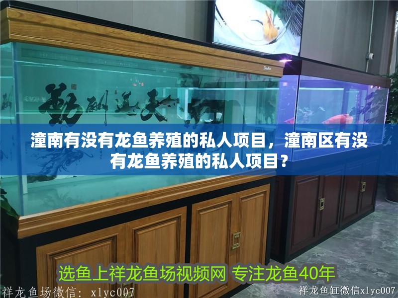 潼南有沒有龍魚養殖的私人項目，潼南區有沒有龍魚養殖的私人項目？