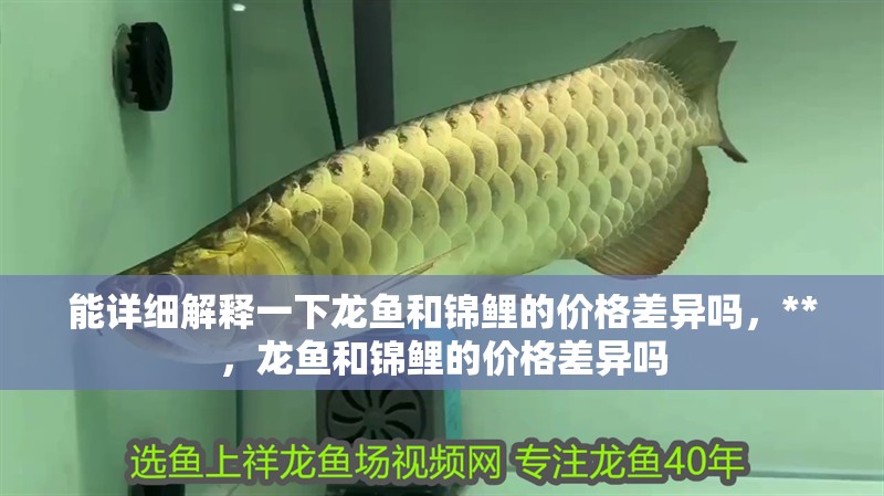 能詳細解釋一下龍魚和錦鯉的價格差異嗎，**，龍魚和錦鯉的價格差異嗎